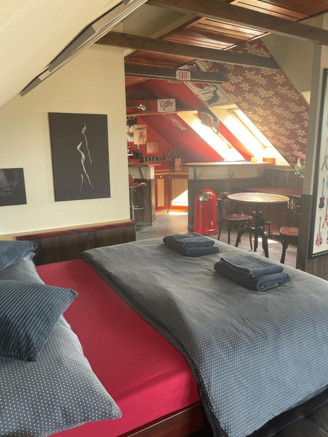 Stylove Apartmanky Frýdek-Místek المظهر الخارجي الصورة